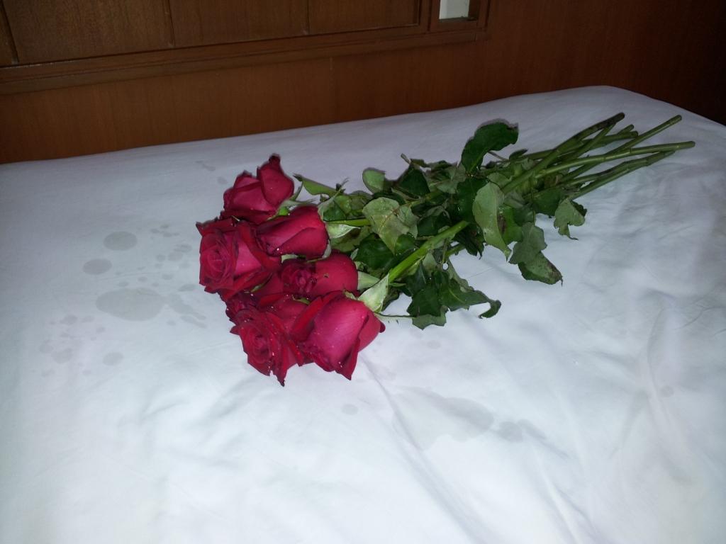 Фото цветов в больничной палате